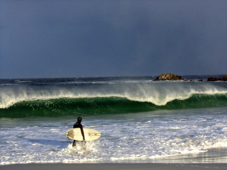 12049350_10153035457631160_7320208774715786218_n