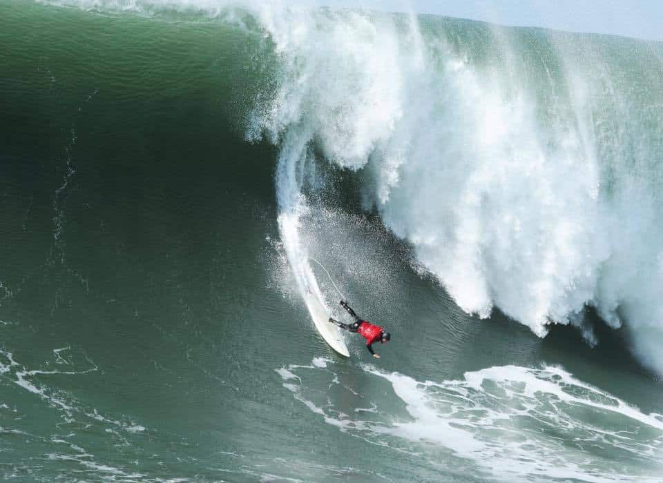 15698259_1218467048235906_6237305530552352357_n